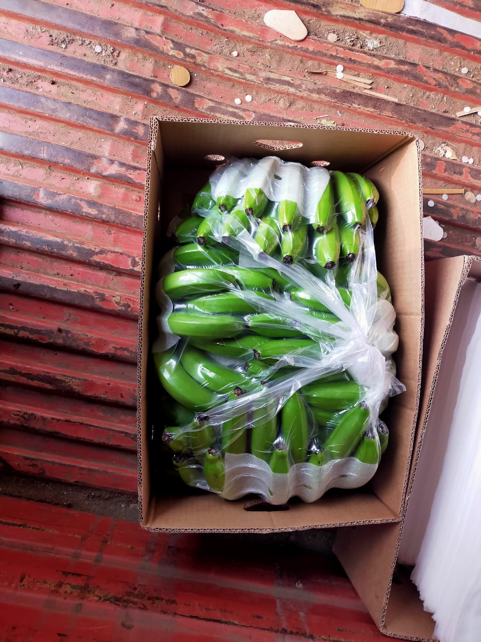 Lukman Fruits Private Ltd.